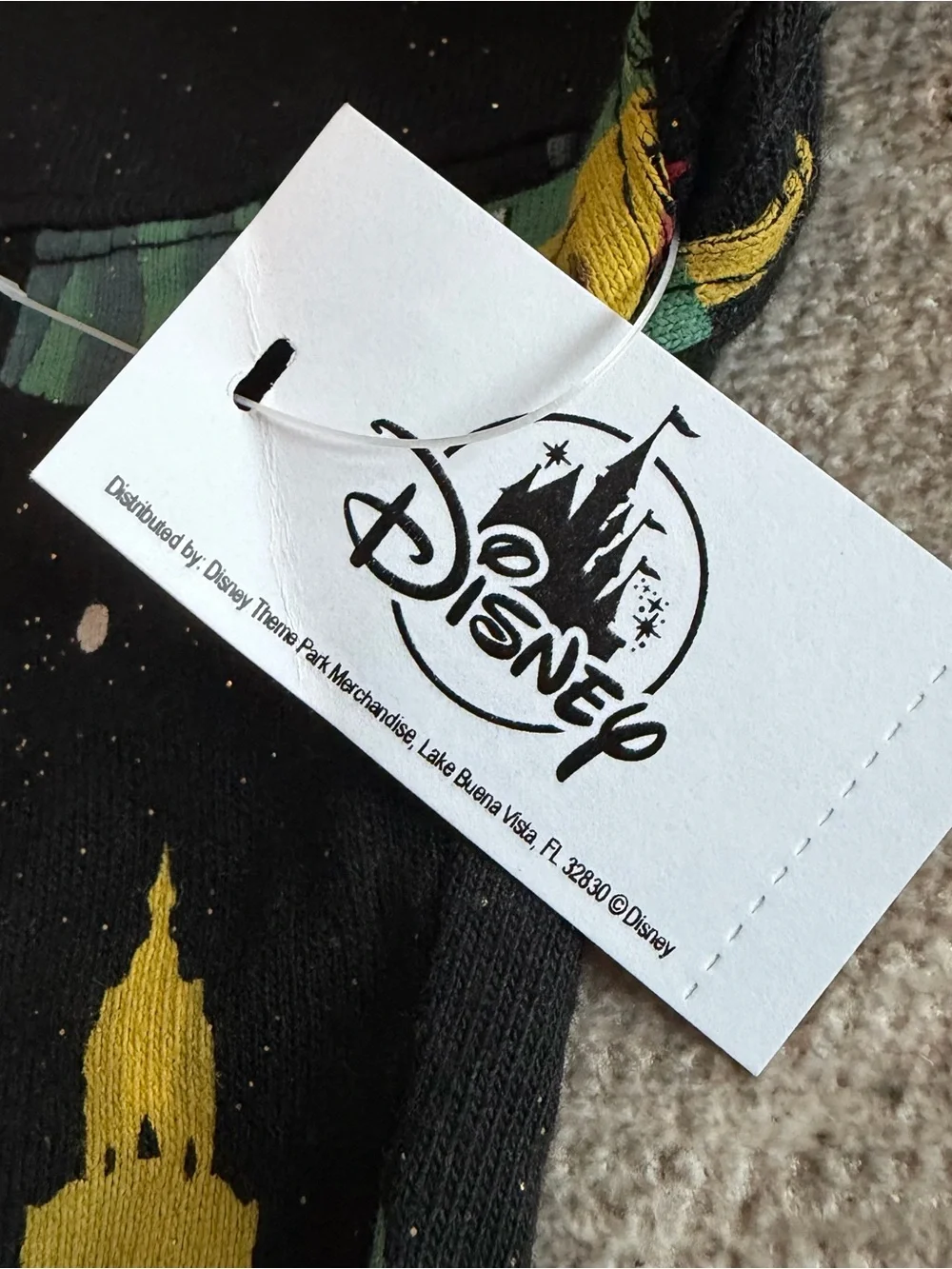 Disney california adventure